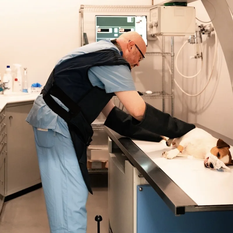 Radiologia digitale