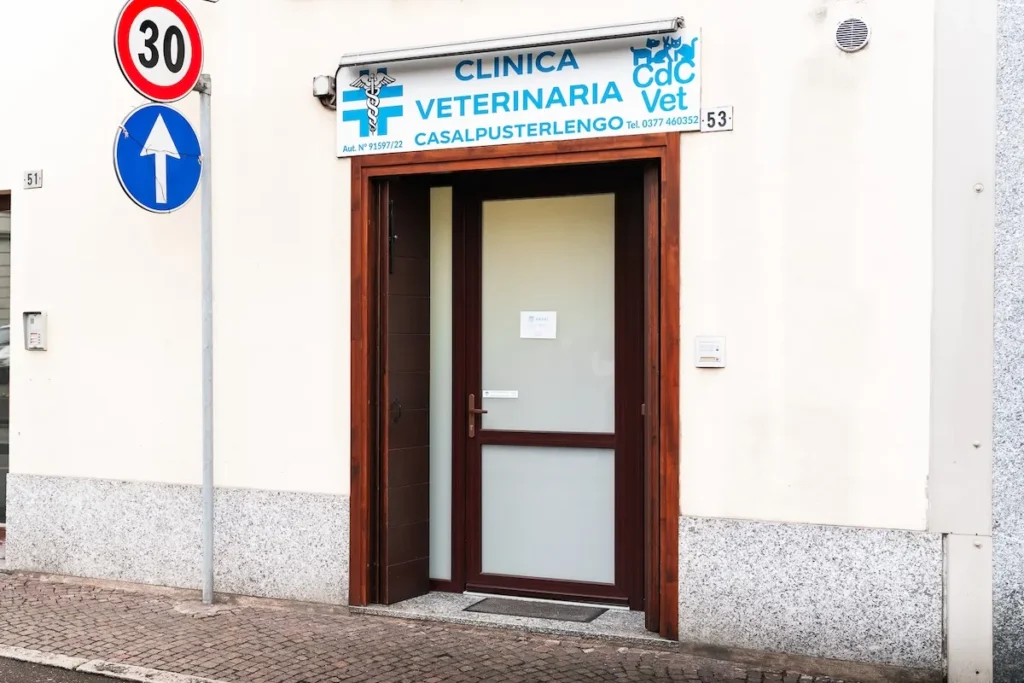 clinica veterinaria casalpusterlengo ingresso