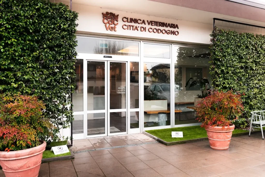 clinica veterinaria a codogno ingresso