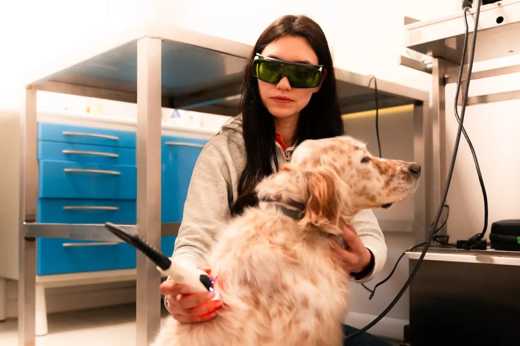 dermatologia veterinaria cdc vet