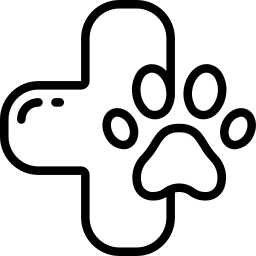 medicina specialistica